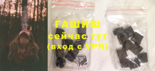 индика Володарск