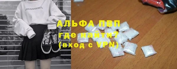 индика Володарск