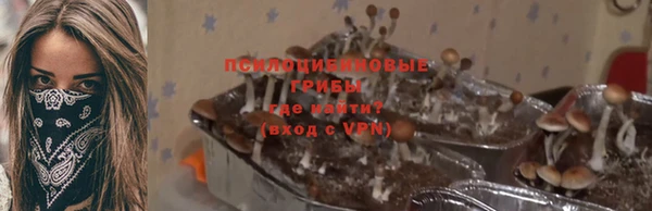 гидра Верея
