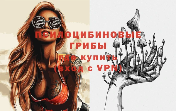 индика Володарск