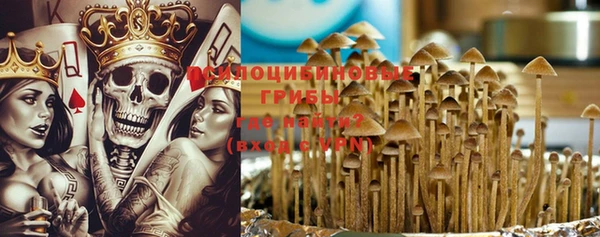 индика Володарск