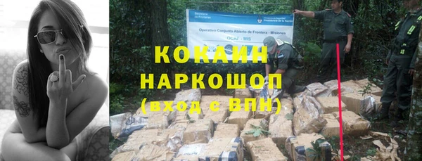 гидра Верея