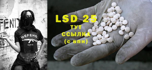 индика Володарск