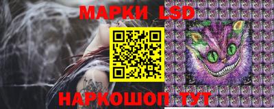 шишки Шахты