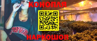 шишки Шахты