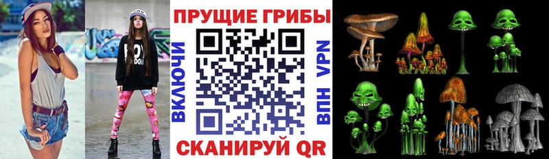 Псилоцибиновые грибы Magic Shrooms Мончегорск