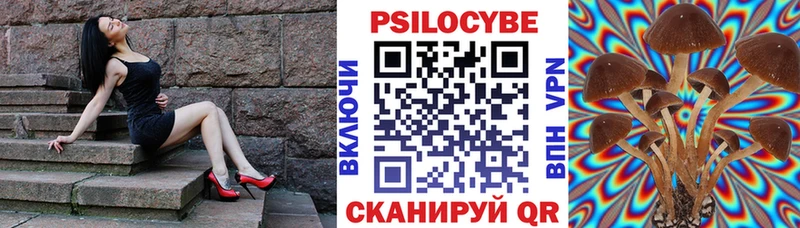 где купить   Мончегорск  Псилоцибиновые грибы GOLDEN TEACHER 