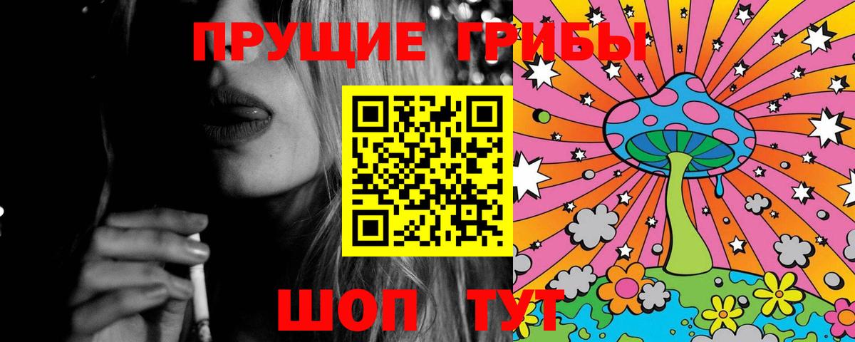 Мончегорск  Псилоцибиновые грибы Psilocybine cubensis  Вход с VPN 