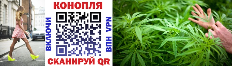 Шишки марихуана MAZAR  купить  цена  Мончегорск 